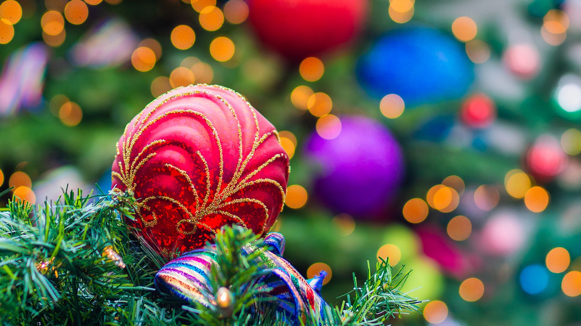 Enjoy Christmas day dinner at Cavatina