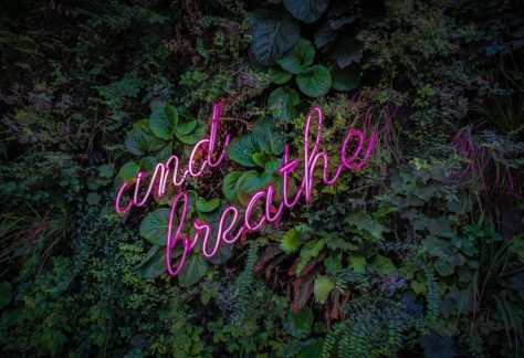 Neon Sign Reading and Breathe Against Plant Wall